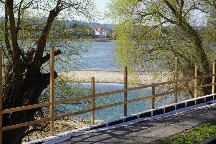 Bauarbeiten Rheinradweg