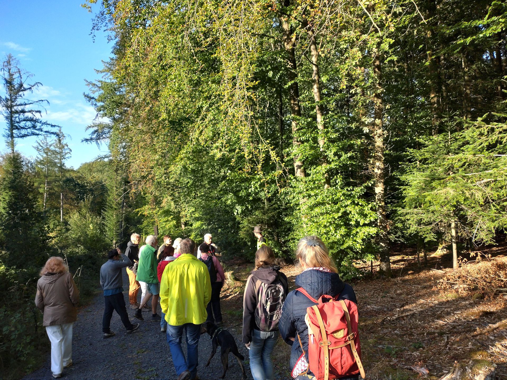 Bei einem Waldklimaspaziergang erhielten die Teilnehmenden anschauliche Einblicke in die Auswirkungen des Klimawandels auf den Wald und die Arbeit der Forstwirtschaft.