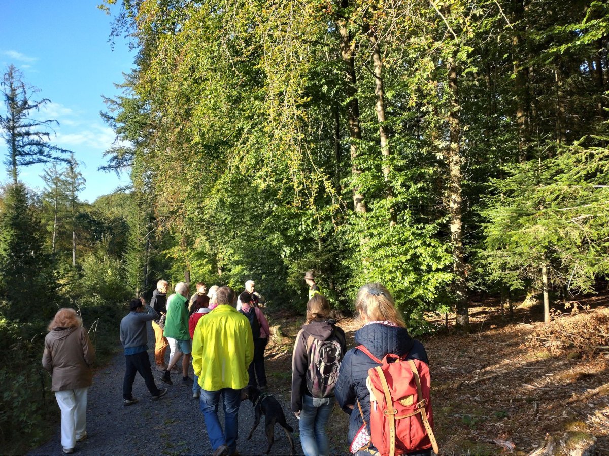 Bei einem Waldklimaspaziergang erhielten die Teilnehmenden anschauliche Einblicke in die Auswirkungen des Klimawandels auf den Wald und die Arbeit der Forstwirtschaft.