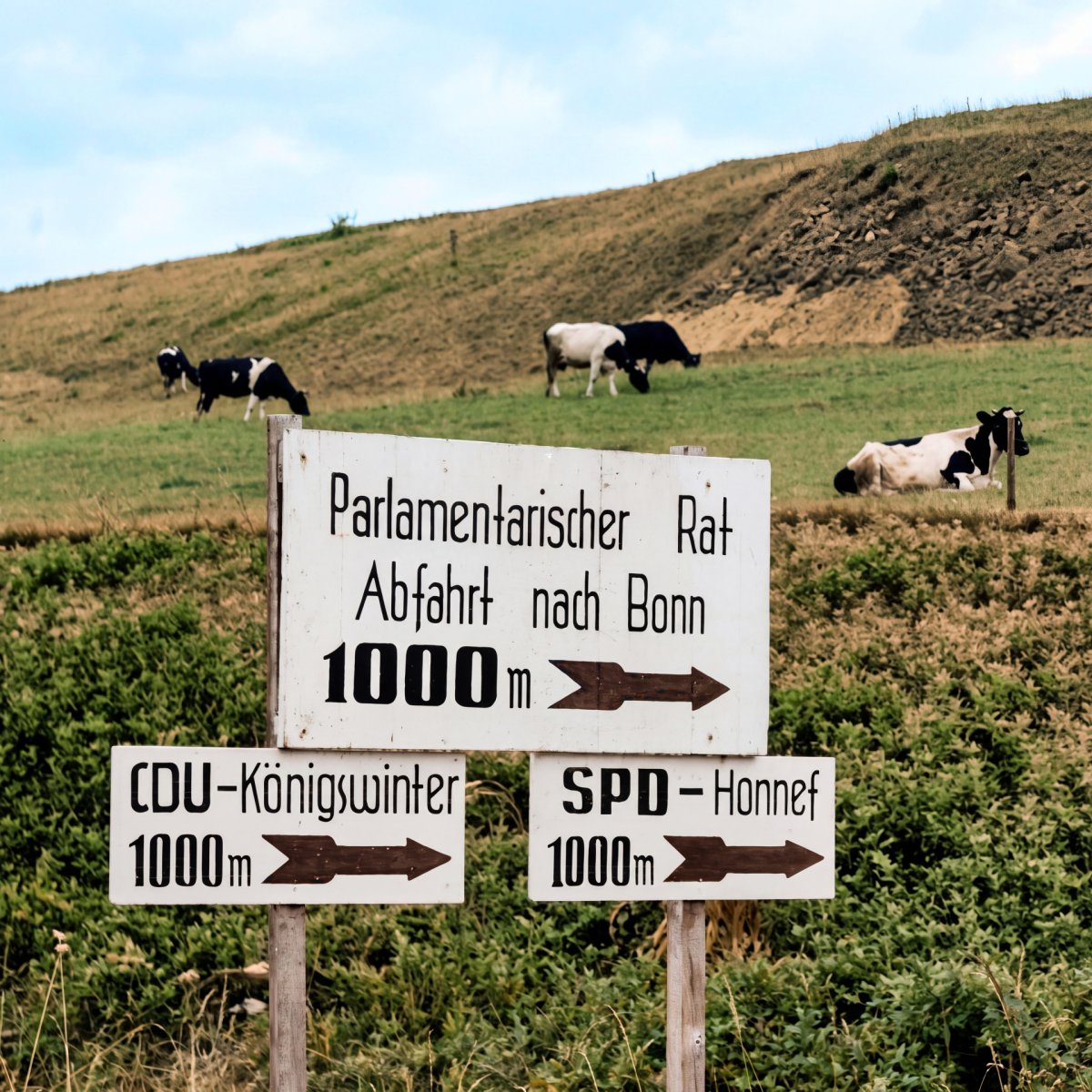 Vor einer Wiese mit Kühen steht ein Wegweiser zur Tagungsstätte des Parlamentarischen Rates und den Quartieren der CDU in Königswinter und der SPD in Bad Honnef.