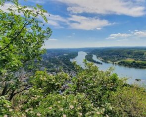 Unser Standort Bad Honnef