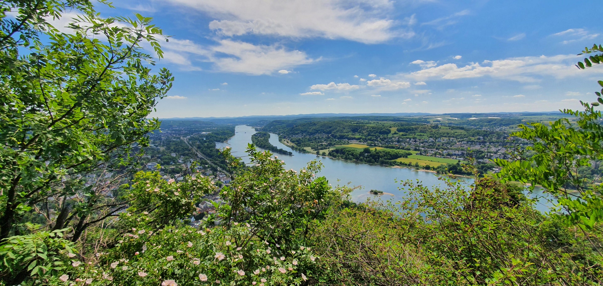 Blick vom Drachenfels