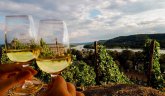 Zwei Weingläser, Ausblick auf Weinberge und Rhein