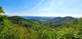 Blick über grüne Hügel zum Rhein
