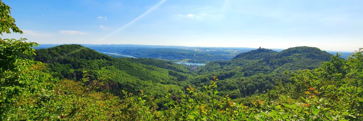 Blick über grüne Hügel zum Rhein