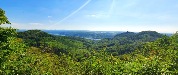 Blick über grüne Hügel zum Rhein