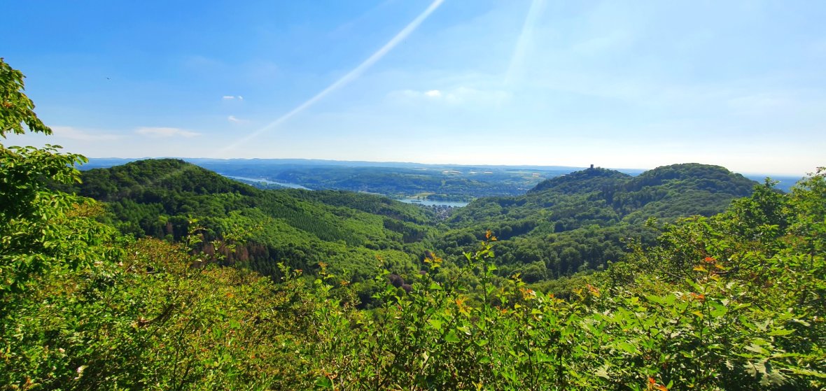 Blick über grüne Hügel zum Rhein