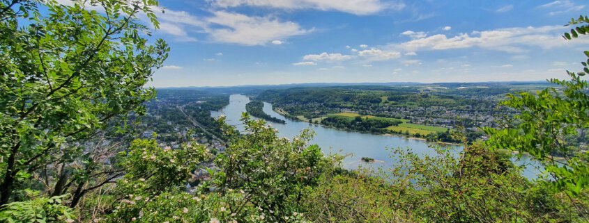 Blick vom Drachenfels auf den Rhein, in der Mitte die Rheininsel Nonnenwerth, links daneben die Rheininsel Grafenwerth