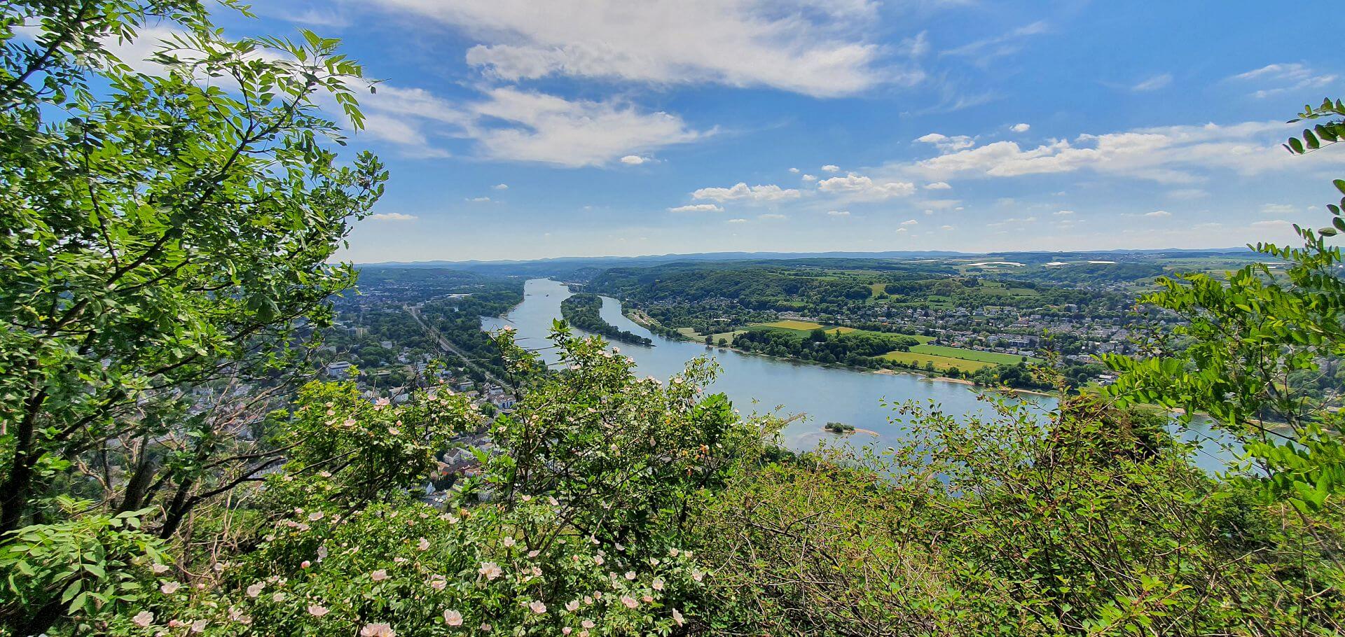 Blick vom Drachenfels auf den Rhein, in der Mitte die Rheininsel Nonnenwerth, links daneben die Rheininsel Grafenwerth