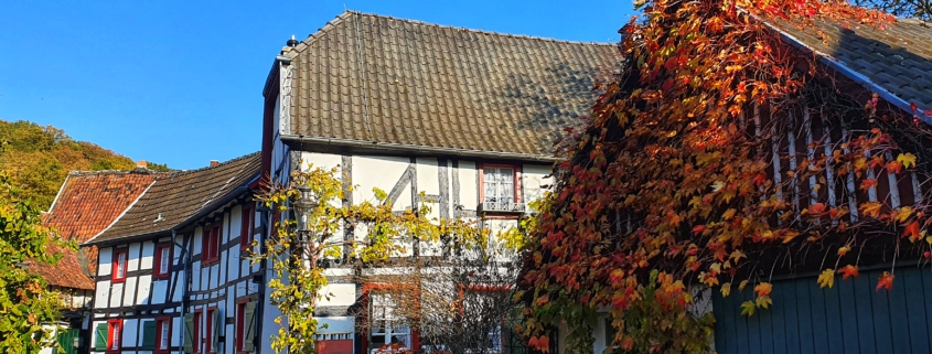 Gasse gesäumt mit Fachwerkhäusern, teilweise mit Herbstlaub